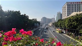 China State Council: Strictly Prohibits Private Equity Funds from Engaging in Illegal Lending, "Equity in Form, Debt in Substance" and Other Activities